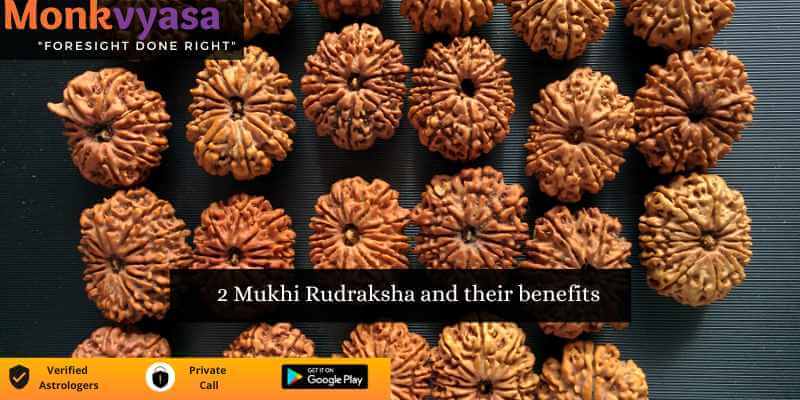 https://monkvyasa.org/public/assets/monk-vyasa/img/2 Mukhi Rudraksha.jpg